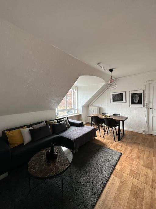 Apartment Elegant With Penthouse View In Cph *